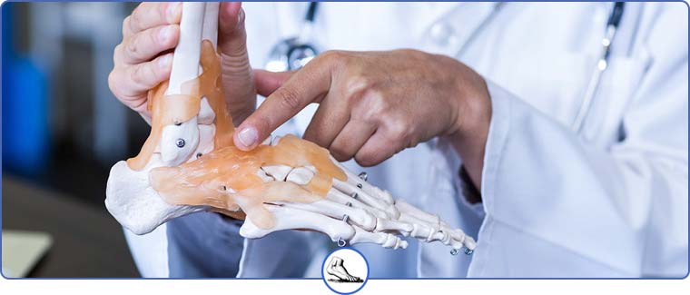 Foot & Ankle Specialist Near Me in Walnut Creek CA - Bay Area Foot and Ankle Foot & Ankle Specialist Near Me in Walnut Creek CA - Bay Area Foot and Ankle